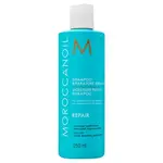 Moroccanoil Repair Moisture Repair Shampoo šampón pre suché a poškodené vlasy 250 ml