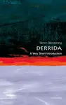 Derrida - Simon  Glendinning