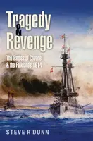 Tragedy and Revenge - Steve Dunn
