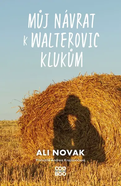 Můj návrat k Walterovic klukům - Ali Novak - e-kniha