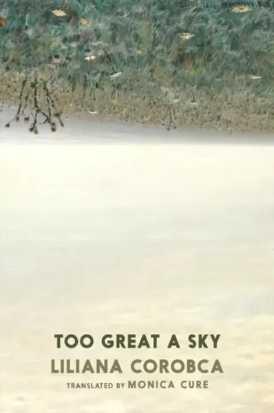 Too Great A Sky - Liliana Corobca
