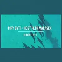 Čirý bytí, Petr Malásek – Delfín