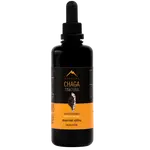 HROTLIFE Chaga tinktura 100 ml