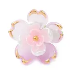 Transparent Acrylic Pendants