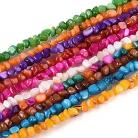 Natural Freshwater Shell Beads Strands