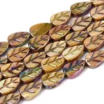 Natural Freshwater Shell Carved Beads Strands