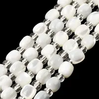 Natural Trochid Shell/Trochus Shell Beads Strands