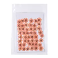 Centaurea Iberica Embossing Dried Flower