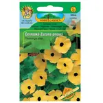 Čiernooká Zuzana ťahavá, žlutá