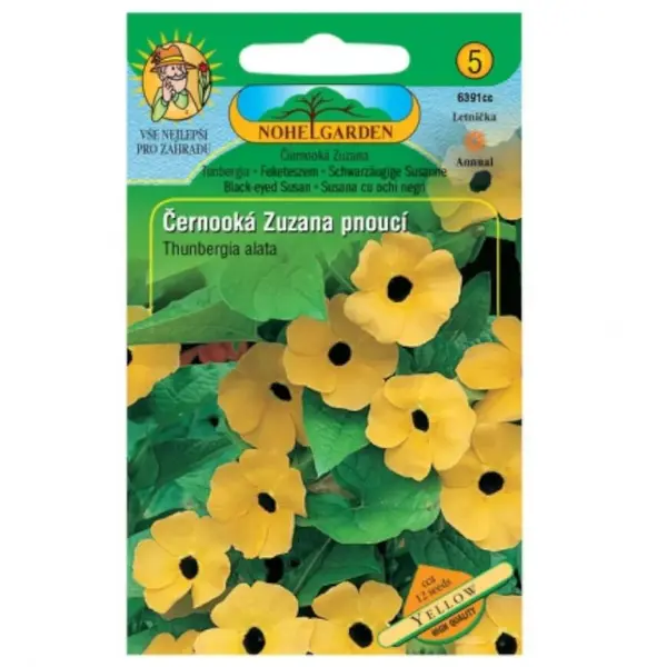 Čiernooká Zuzana ťahavá, žlutá