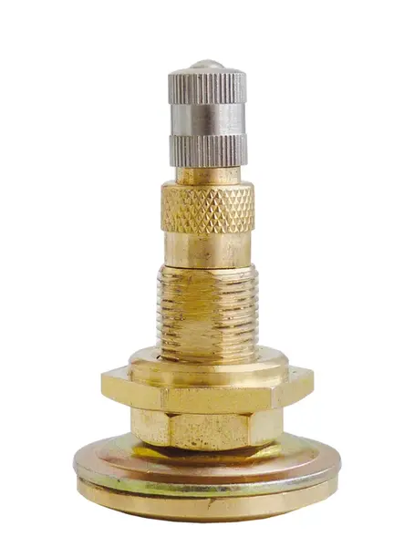 Dušové ventily MOTO, TRUCK, AGRO, různé druhy - Ferdus Varianta: SP-7. délka 48 mm. AGRO. 1 ks