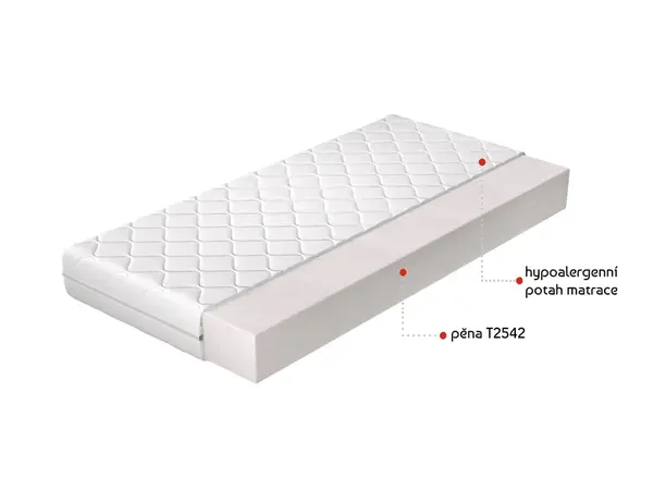 Matrace Lino Rozměr: 160 x 200 cm, Potah: Hypoalergenní potah