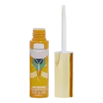 REVOLUTION x Willy Wonka Mike Teavee Lip Gloss, lesk na rty 6 ml