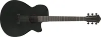 Ibanez AEG1221-BOT