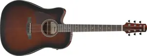 Ibanez AAD51LCE-DVS