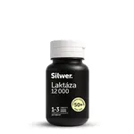 Silwer Laktáza 12 000