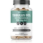 Movit Energy Tribulus 90% Erd-Burzeldorn 500 mg 4in1 kapsuly na udržanie energie a kognitívnej výkonnosti 102 g