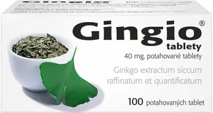 GINGIO 40 mg, 100 tablet