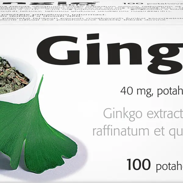 GINGIO 40 mg, 100 tablet