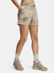 Women's shorts Under Armour Pjt Rck Terry Short - Women's