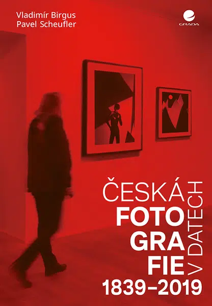 E-kniha: Česká fotografie v datech od Birgus Vladimír