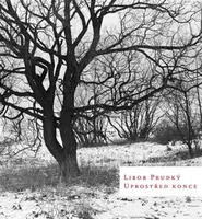 Uprostřed konce - Libor Prudký