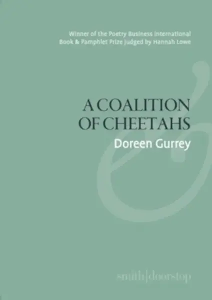 A Coalition of Cheetahs - Doreen Gurrey