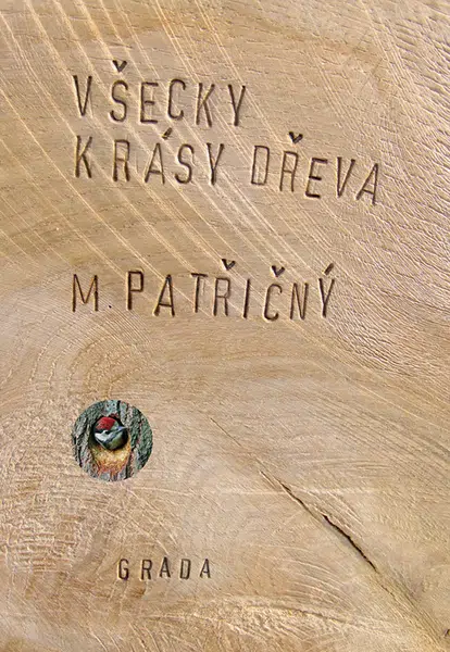 E-kniha: Všecky krásy dřeva od Patřičný Martin