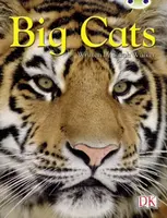 BC NF Brown B/3B Big Cats - Walker Sarah