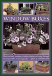 Window Boxes - Jackie Matthews