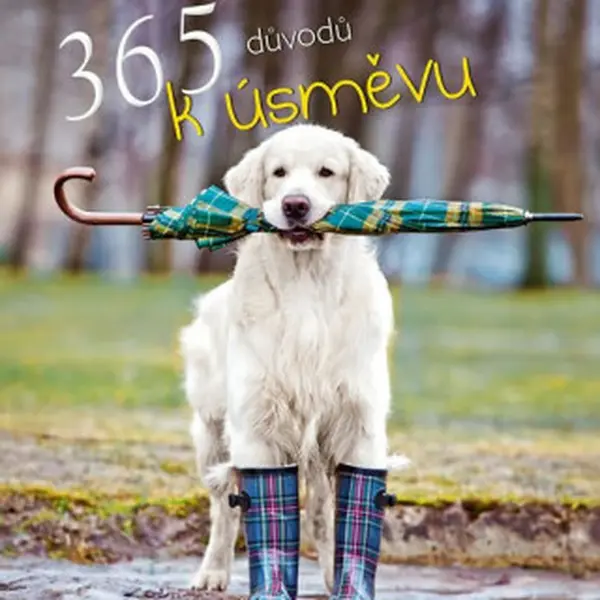 365 důvodů k úsměvu