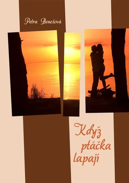 Když ptáčka lapají - Petra Benešová - e-kniha