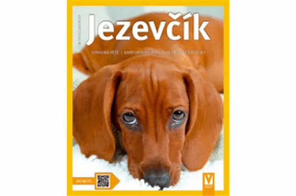 Jezevčík - Fiedelmeierová Leni
