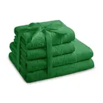 Sada ručníků home & lifestyle 4-pack zelená barva