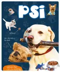 Psi