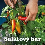 Salátový bar
