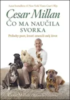 Čo ma naučila svorka