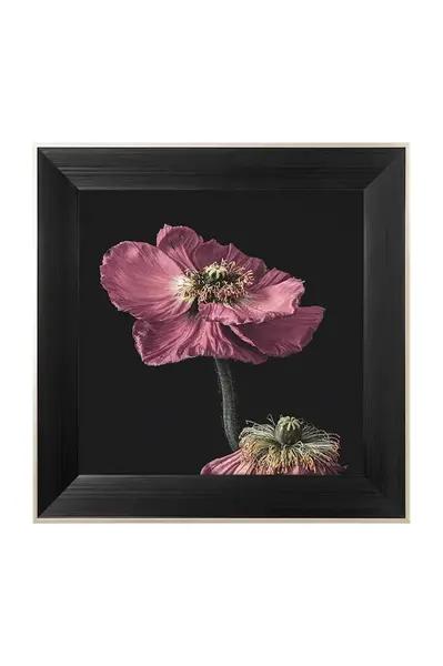 Nástěnná dekorace v rámu home & lifestyle ARTISTIC FLOWER NO.1 50 x 50 cm