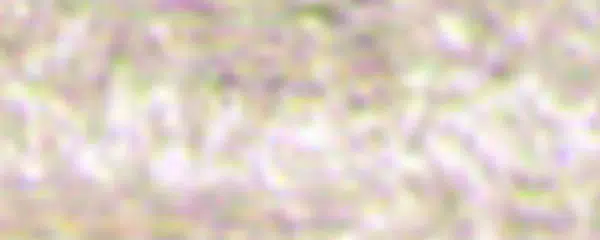 Suchý pastel Renesans – 11 Zem světlá