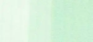 Copic sketch marker - G000 pale green