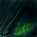 Olejová barva Pébéo XL 200ml – 17 sap green