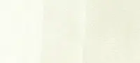 Copic Ink – W00 Warm Gray 00