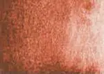 Akvarelová barva DS 15ml – 111 Venetian Red