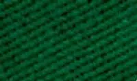 Barva na textil Rosa 60ml – 16 Green