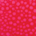 Barva Pébéo Fantasy Prisme 45ml – 62 Fluorescent pink