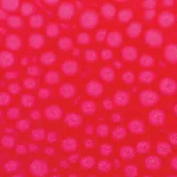 Barva Pébéo Fantasy Prisme 45ml – 62 Fluorescent pink