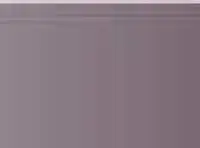 Pastel Caran d'Ache Neocolor II 407 Sepia