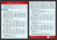 Přehledová tabulka učiva – zájmena - Veronika Štroblová