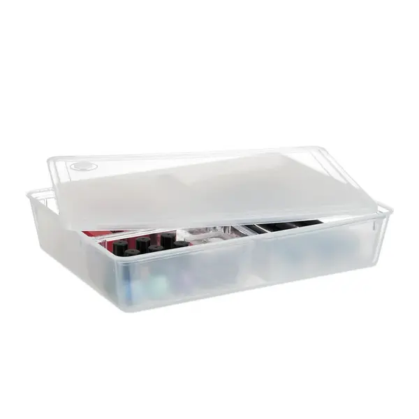 Relaxdays KRABICE Transparentní plast s víkem 3 přihrádky