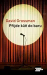 Přijde kůň do baru (poškozené) - David Grossman